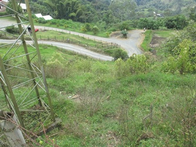 Lote en venta en Morrogacho Parte, Manizales · foto 2 de 9