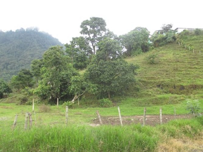 Lote en venta en Morrogacho Parte, Manizales · foto 5 de 9