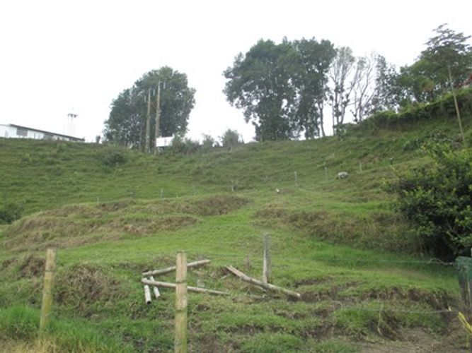Lote en venta en Morrogacho Parte, Manizales · foto 8 de 9