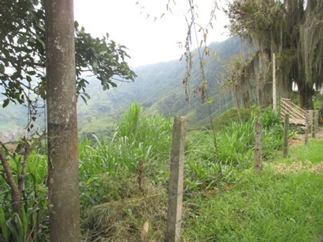 Lote en venta en Morrogacho Parte, Manizales · foto 9 de 9