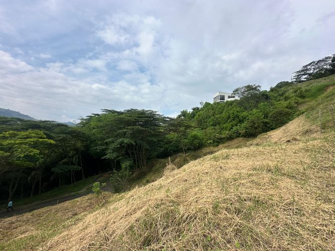 Lote en venta en La Trinidad, Manizales · foto 2 de 17