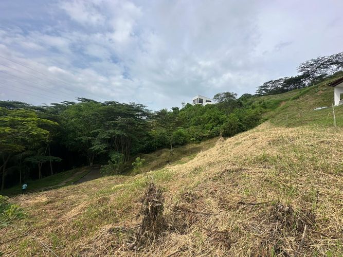 Lote en venta en La Trinidad, Manizales · foto 3 de 17