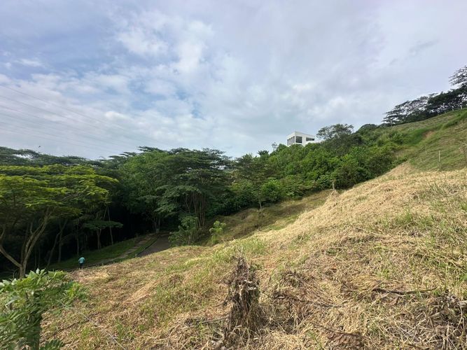 Lote en venta en La Trinidad, Manizales · foto 4 de 17