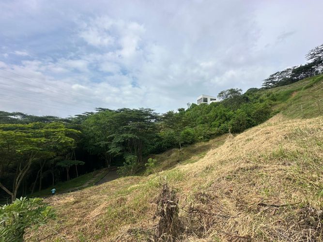 Lote en venta en La Trinidad, Manizales · foto 5 de 17