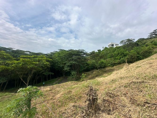 Lote en venta en La Trinidad, Manizales · foto 6 de 17