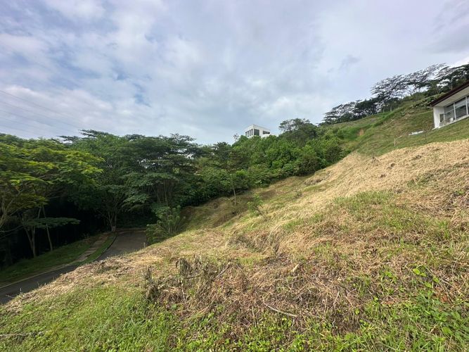 Lote en venta en La Trinidad, Manizales · foto 7 de 17