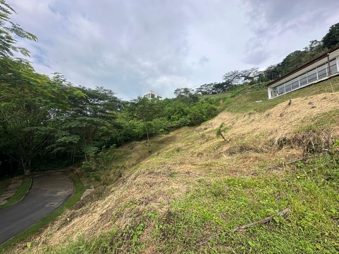 Lote en venta en La Trinidad, Manizales · foto 8 de 17