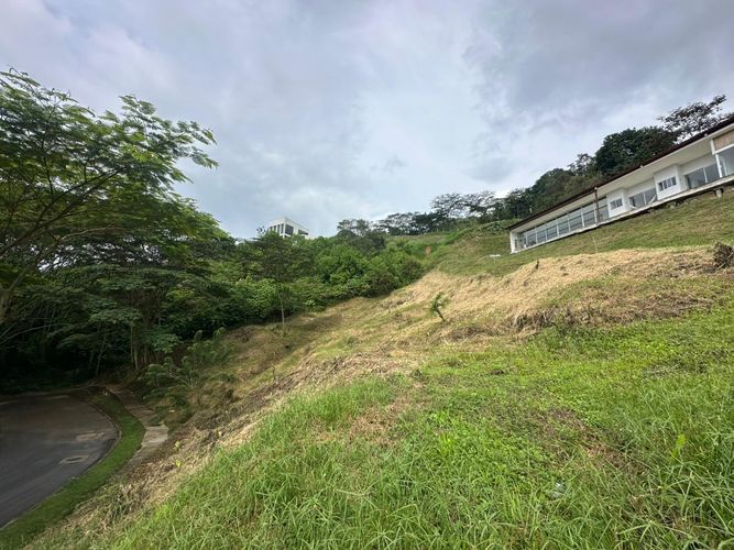 Lote en venta en La Trinidad, Manizales · foto 9 de 17