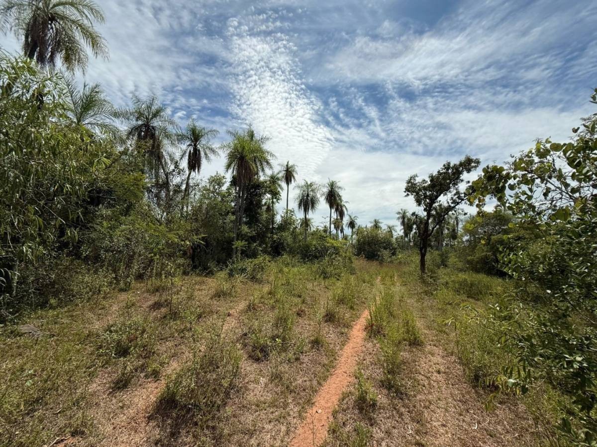 Vendo terreno de 10,5 hectareas en Eusebio Ayala Aguaity — foto 2