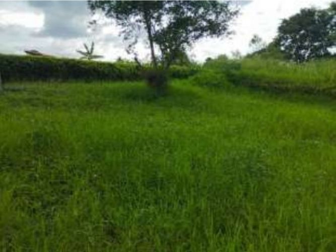 Lote en venta en Via La Tebaida, Armenia, 1400 m² · foto 3 de 8