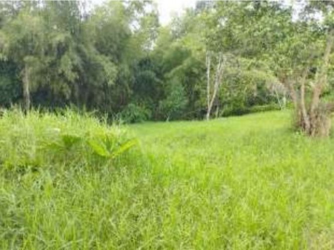 Lote en venta en Via La Tebaida, Armenia, 1400 m² · foto 5 de 8