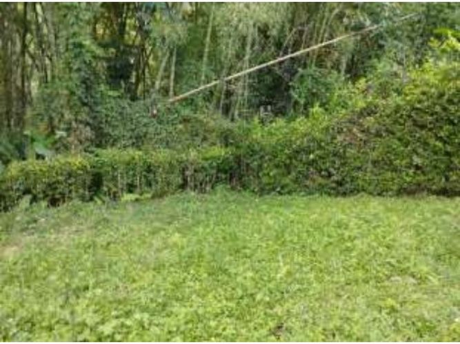 Lote en venta en Via La Tebaida, Armenia, 1400 m² · foto 6 de 8