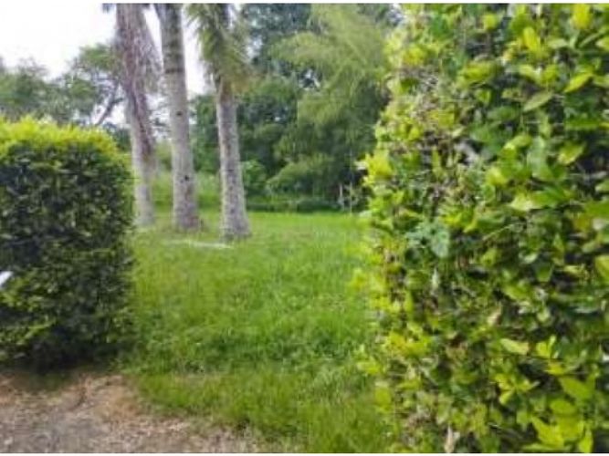 Lote en venta en Via La Tebaida, Armenia, 1400 m² · foto 7 de 8