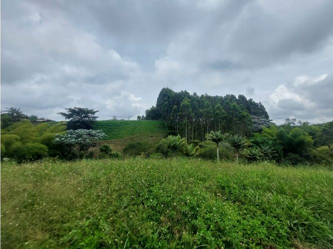 Finca en venta en Sector Parque Valencia, Armenia, 25000 m² · foto 2 de 24