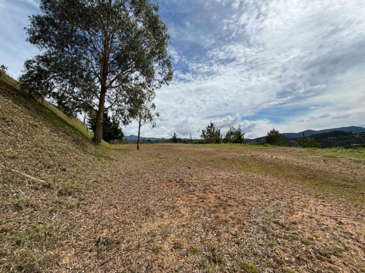 Land in El Portento for Sale - 2