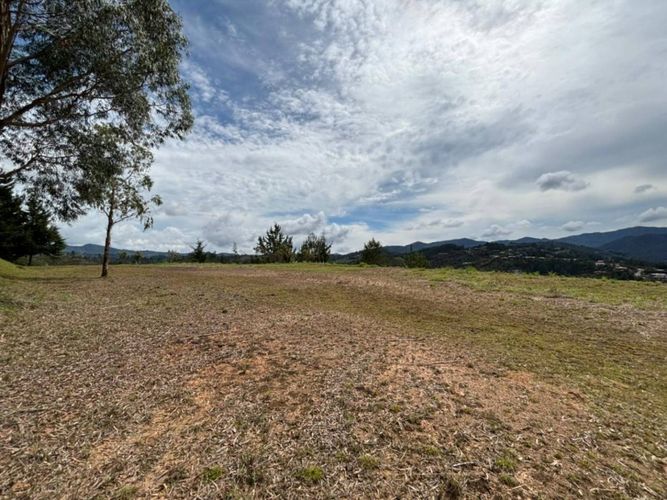 Lote en venta en El Portento, El Retiro, 10000 m² · foto 5 de 20