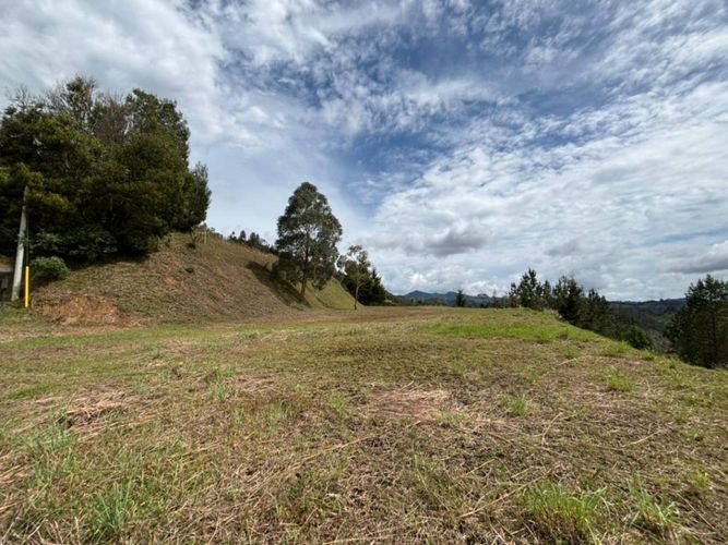 Lote en venta en El Portento, El Retiro, 10000 m² · foto 11 de 20