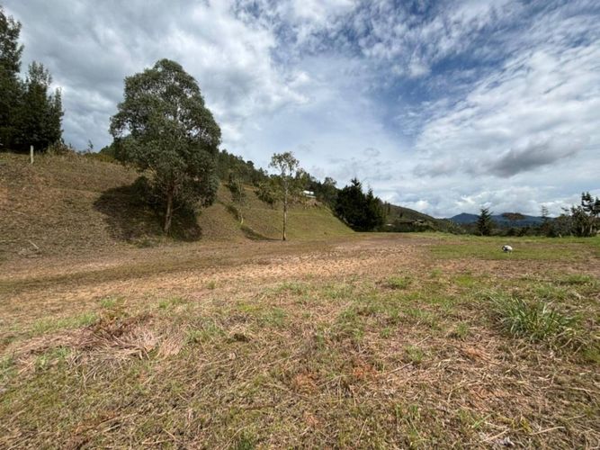 Lote en venta en El Portento, El Retiro, 10000 m² · foto 12 de 20