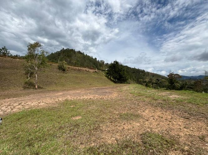 Lote en venta en El Portento, El Retiro, 10000 m² · foto 14 de 20