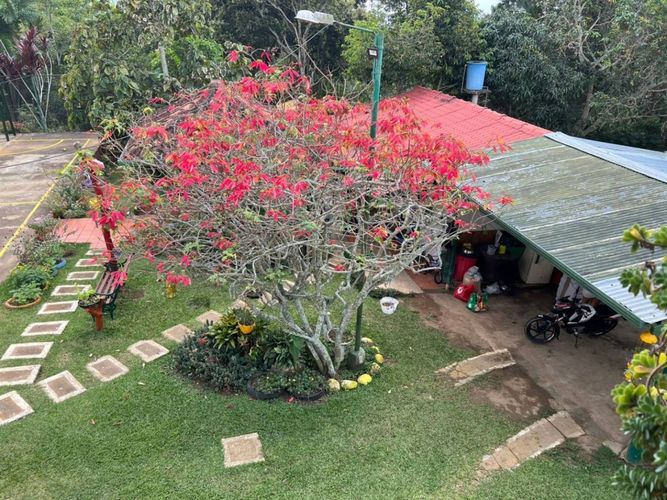 Casa de 4 alcobas en venta en Ruitoque, Piedecuesta · foto 10 de 13