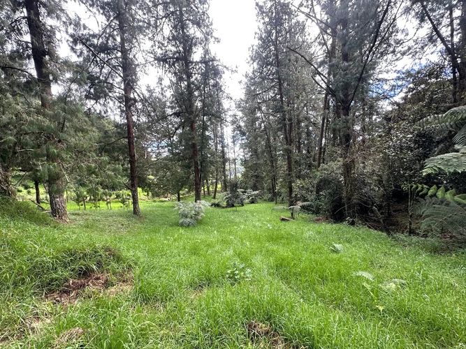 Lote en venta en Las Palmas, Envigado, 6948 m² · foto 4 de 24