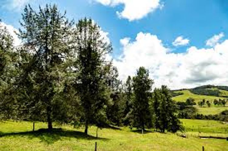 Lote en venta en Las Palmas, Envigado, 6948 m² · foto 5 de 24