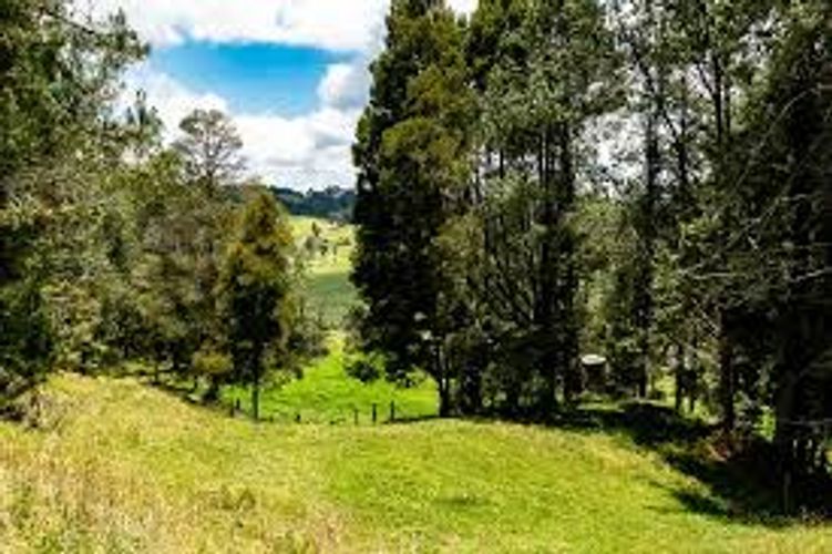 Lote en venta en Las Palmas, Envigado, 6948 m² · foto 6 de 24