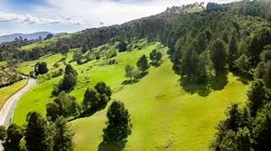 Lote en venta en Las Palmas, Envigado, 6948 m² · foto 7 de 24