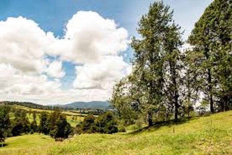 Lote en venta en Las Palmas, Envigado, 6948 m² · foto 9 de 24