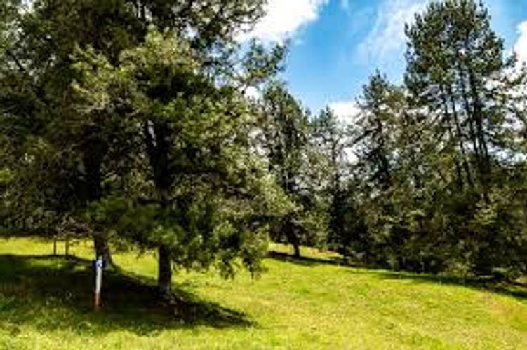 Lote en venta en Las Palmas, Envigado, 6948 m² · foto 10 de 24