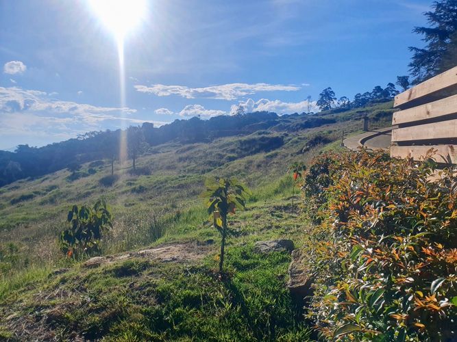 Lote en venta en Las Palmas, Envigado, 6948 m² · foto 20 de 24