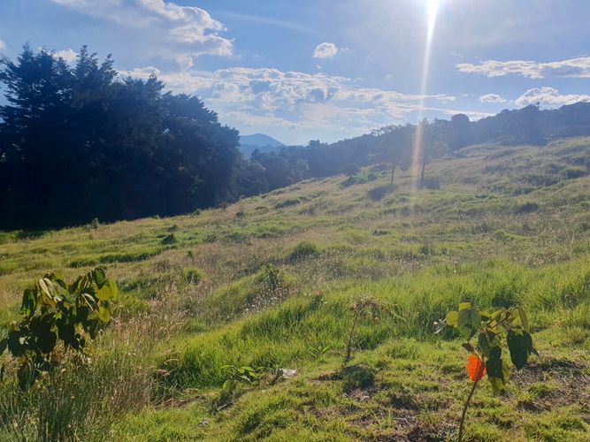 Lote en venta en Las Palmas, Envigado, 6948 m² · foto 21 de 24