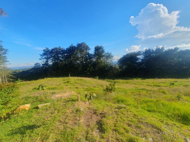 Lote en venta en Las Palmas, Envigado, 6948 m² · foto 23 de 24