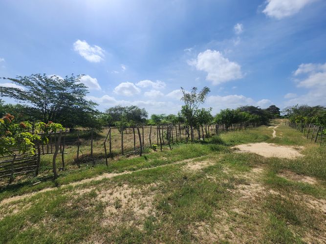 Lote en venta en Los Almendros, Barranquilla, 11254 m² · foto 9 de 10