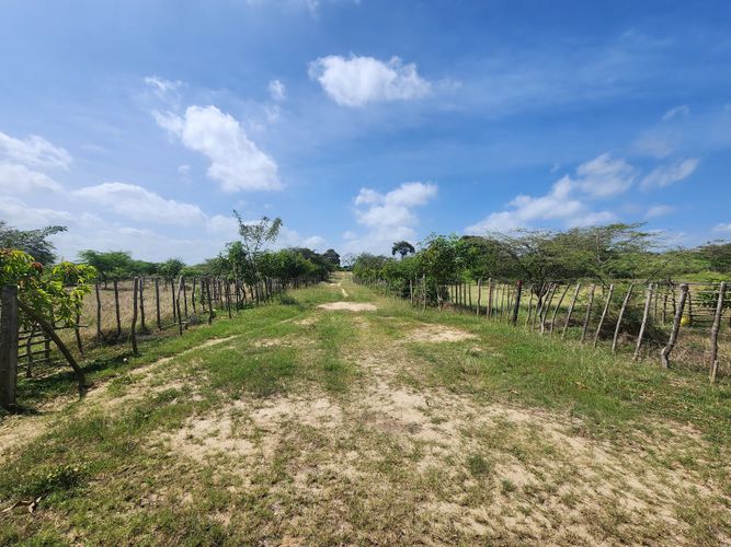 Lote en venta en Los Almendros, Barranquilla, 11254 m² · foto 10 de 10