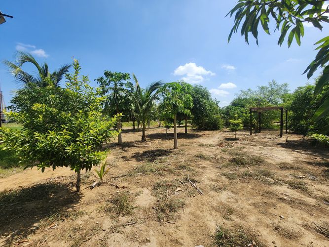 Lote en venta en Los Almendros, Barranquilla, 10100 m² · foto 6 de 10