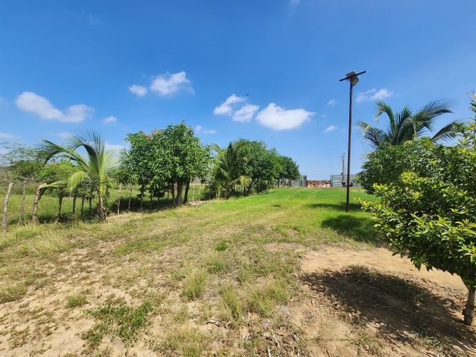 Lote en venta en Los Almendros, Barranquilla, 10100 m² · foto 8 de 10