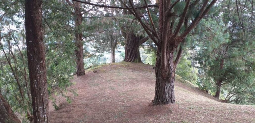 Finca en venta en La Convencion, Rionegro, 52400 m² · foto 9 de 13