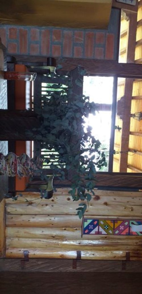 Finca en venta en La Convencion, Rionegro, 52400 m² · foto 12 de 13