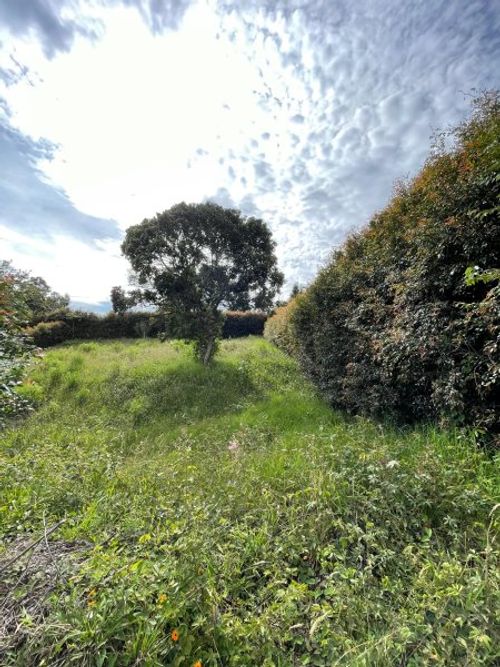 Lote en venta en Monta�Ez, Guarne, 1610 m² · foto 3 de 7