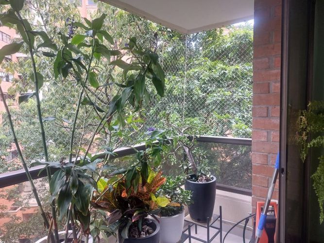 Apartamento de 3 alcobas en venta en La Aguacatala, Medellín, 175 m² · foto 3 de 20