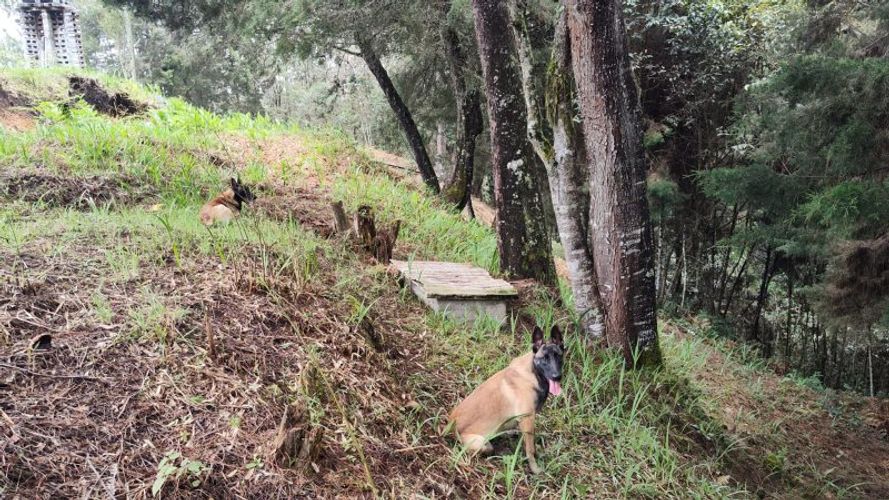 Lote en venta en La Brizuela, Guarne, 10000 m² · foto 7 de 9