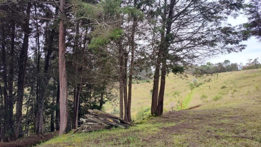 Lote en venta en La Brizuela, Guarne, 10000 m² · foto 9 de 9