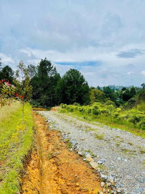Lote en venta en La Brizuela, Guarne, 17100 m² · foto 2 de 6