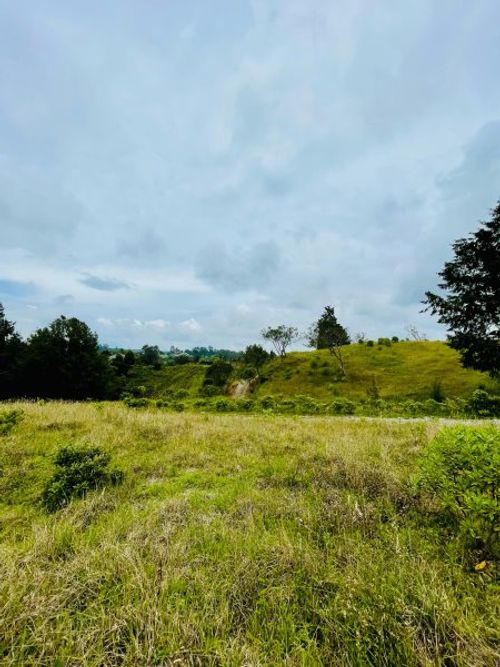 Lote en venta en La Brizuela, Guarne, 17100 m² · foto 3 de 6