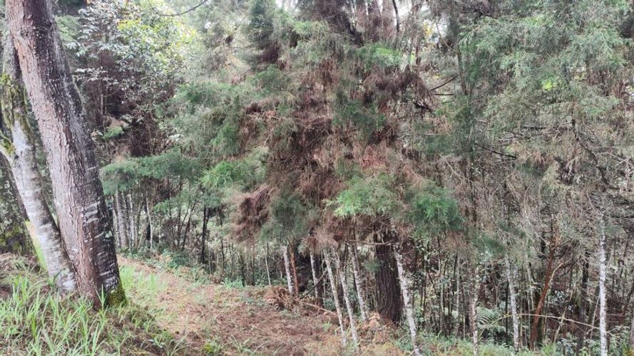 Lote en venta en La Brizuela, Guarne, 5730 m² · foto 3 de 6