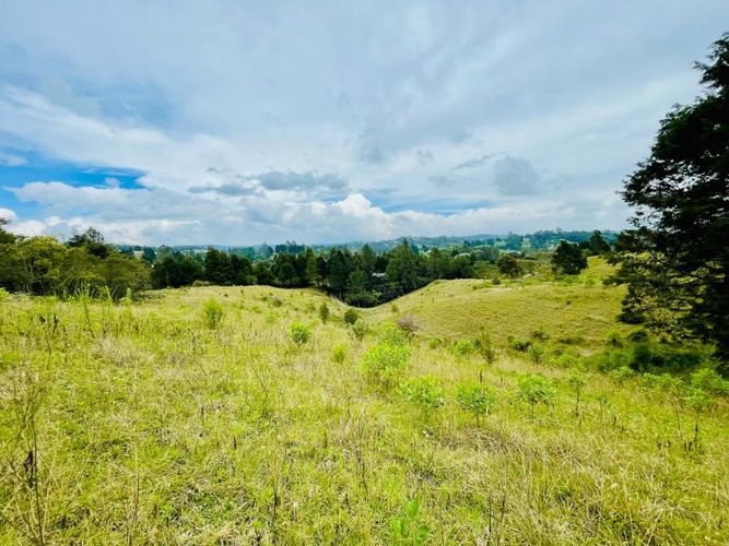Lote en venta en La Brizuela, Guarne, 7144 m² · foto 2 de 6
