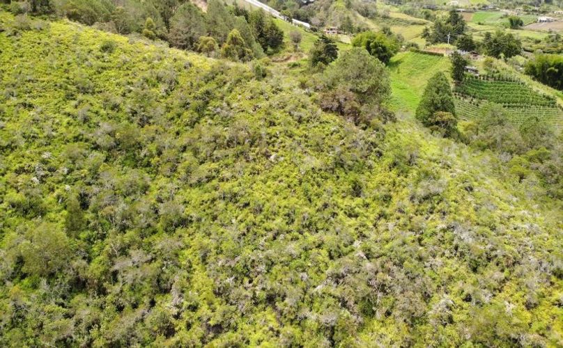 Lote en venta en Pablo Sexto, Marinilla, 34000 m² · foto 2 de 6
