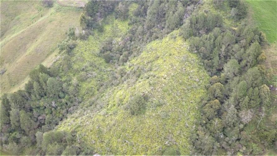 Lote en venta en Pablo Sexto, Marinilla, 34000 m² · foto 4 de 6
