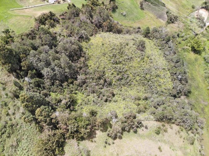 Lote en venta en Pablo Sexto, Marinilla, 34000 m² · foto 5 de 6